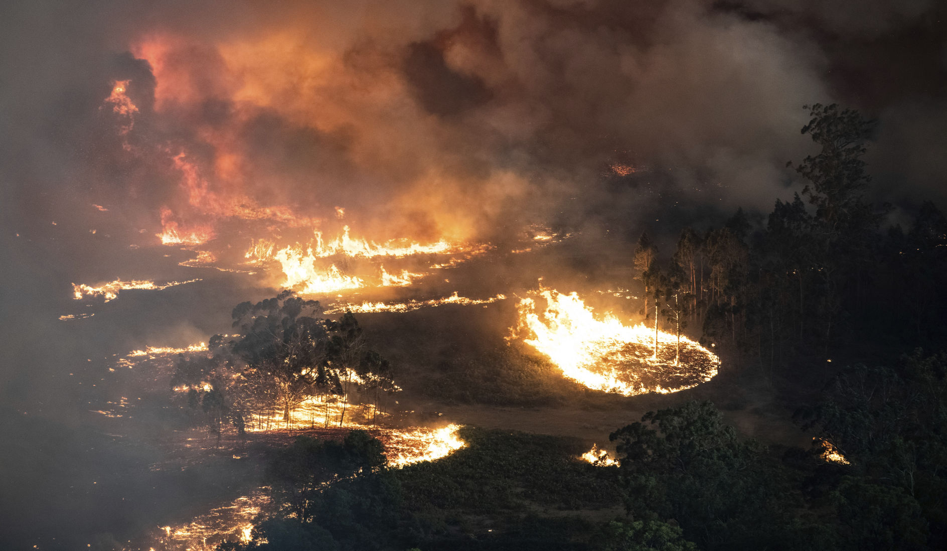 Australia wildfires